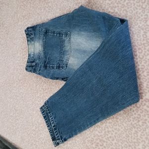 Southpole mens 32x32 jeans blue fade